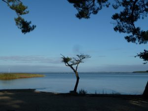 Lac de sanguinet